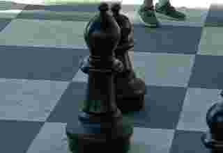 šah